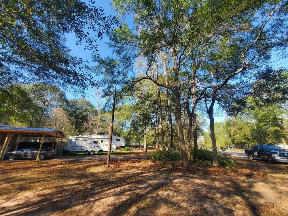 Affordable outdoor landscaping for homes across Cleveland, TX - Cleveland Tree Specialist