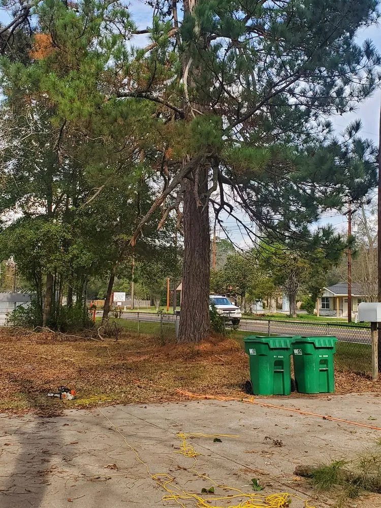 Custom landscape installation in Cleveland, TX by Cleveland Tree Specialist