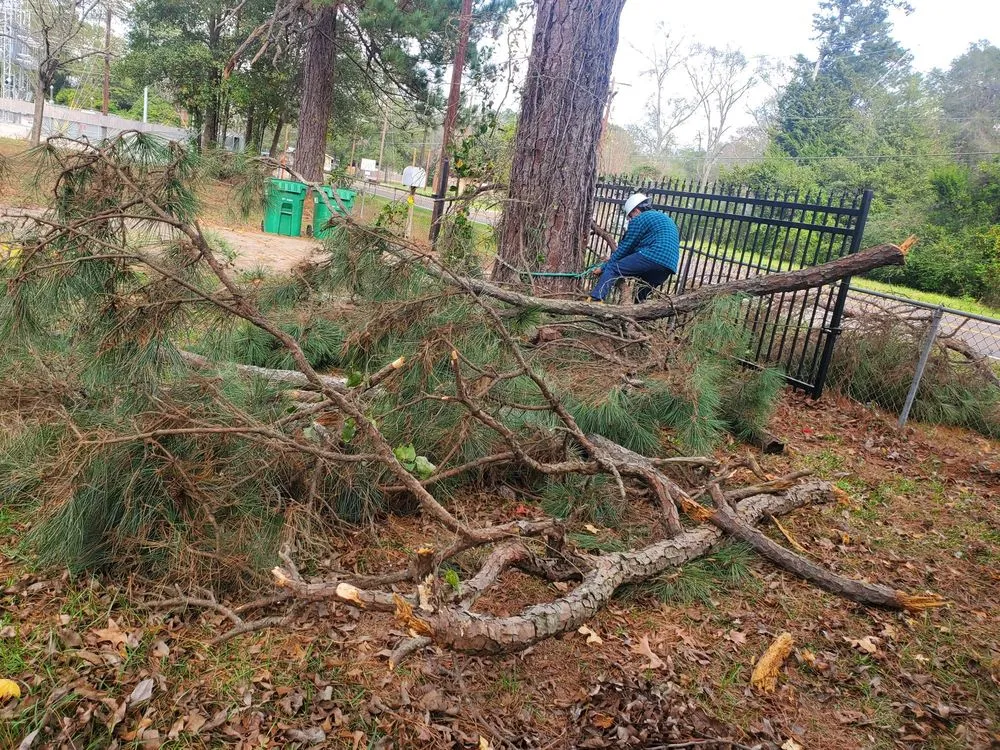 Expert yard maintenance with custom design across Cleveland, TX - Cleveland Tree Specialist