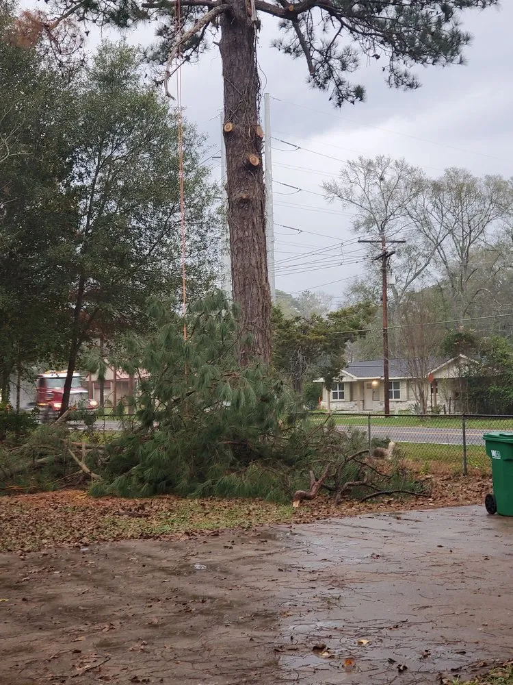 Trusted landscape installation in Cleveland, TX - Cleveland Tree Specialist