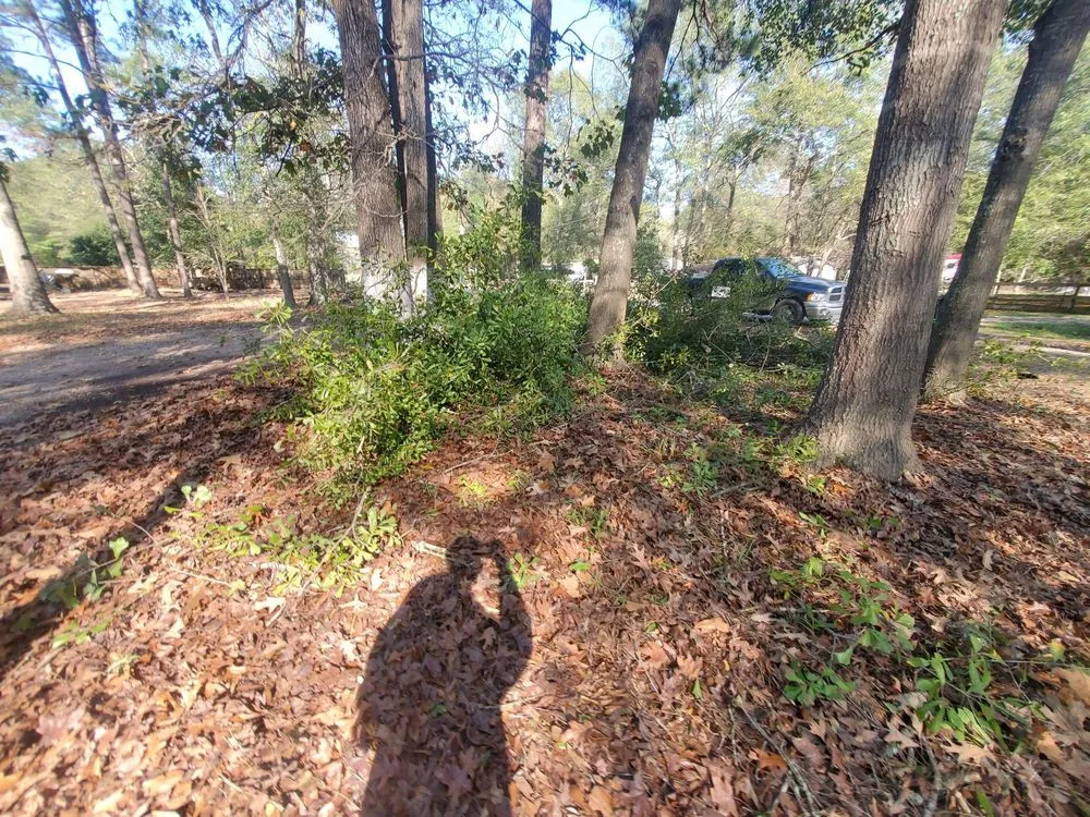 Top-rated landscape installation for homes in Cleveland, TX by Cleveland Tree Specialist