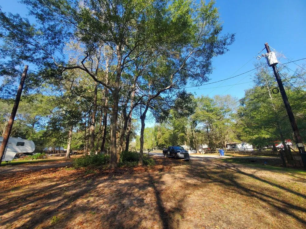 Reliable yard maintenance near you across Cleveland, TX - Cleveland Tree Specialist