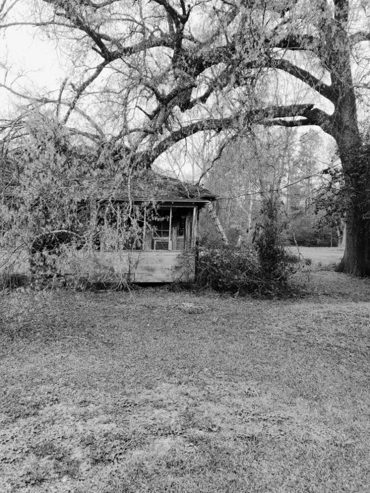 Affordable outdoor landscaping for outdoor upgrades across Cleveland, TX - Cleveland Tree Specialist