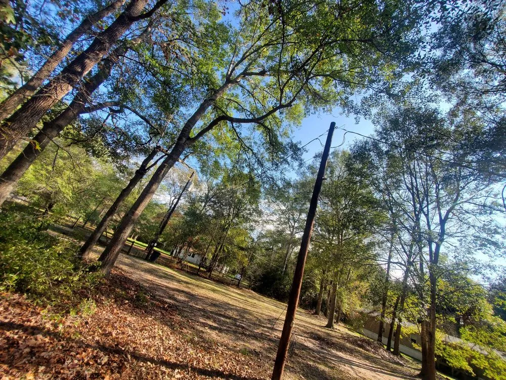 Expert landscape design near you in Cleveland, TX by Cleveland Tree Specialist