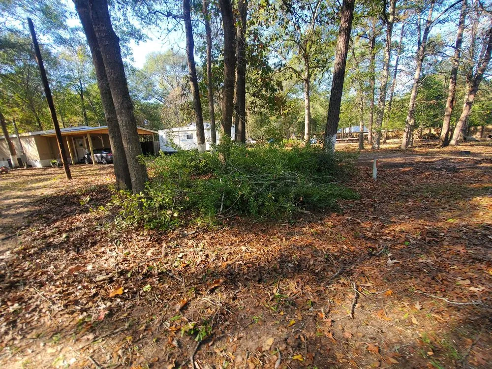 Affordable landscape design in Cleveland, TX by Cleveland Tree Specialist