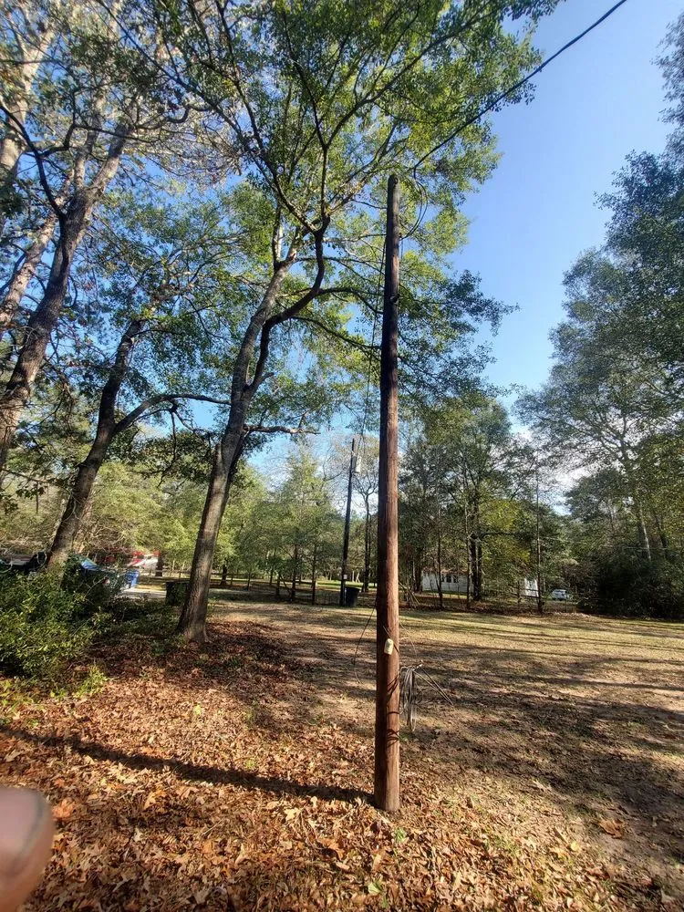 Affordable landscaping services with custom design across Cleveland, TX - Cleveland Tree Specialist