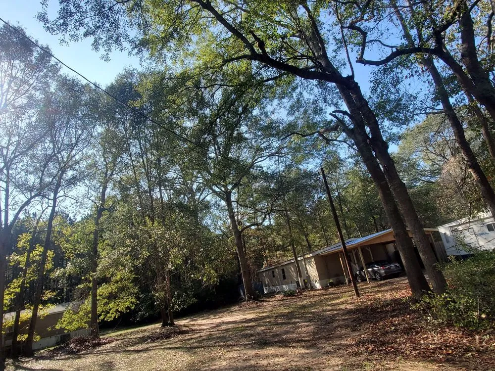 Affordable lawn care service for outdoor upgrades in Cleveland, TX by Cleveland Tree Specialist