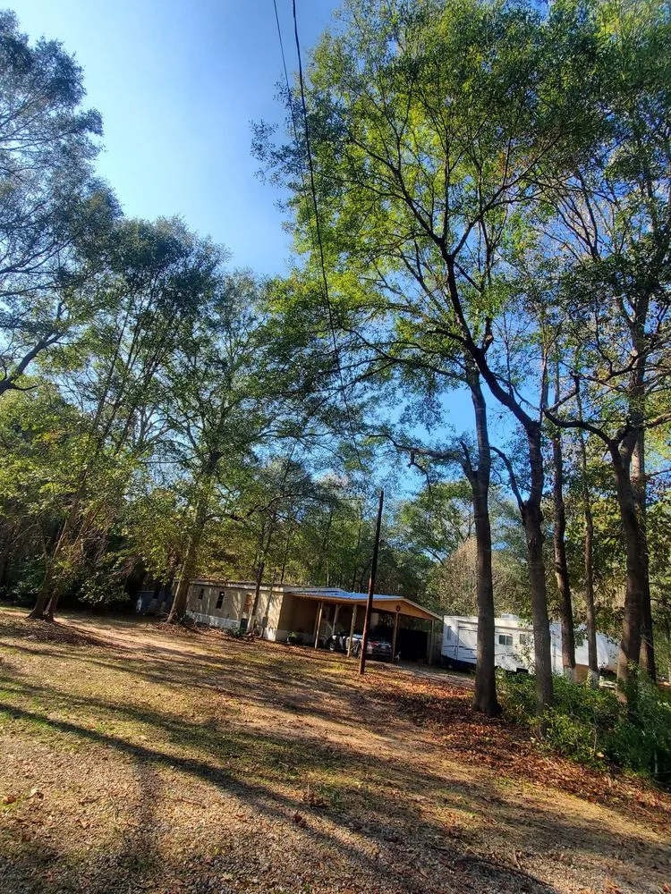 Professional yard maintenance experts serving Cleveland, TX - Cleveland Tree Specialist