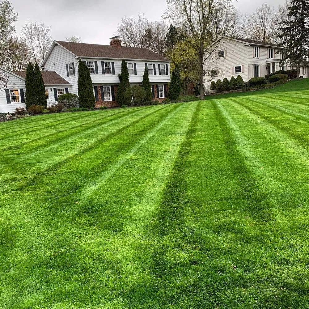 Professional landscape design for outdoor upgrades in Euclid, OH by Cleveland Yardscapes