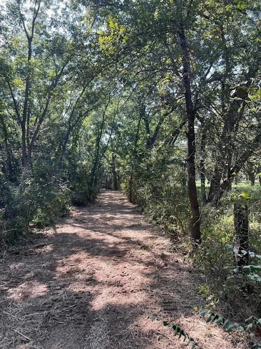 Custom lawn mowing service in Okmulgee, OK - Clevengers Land Management