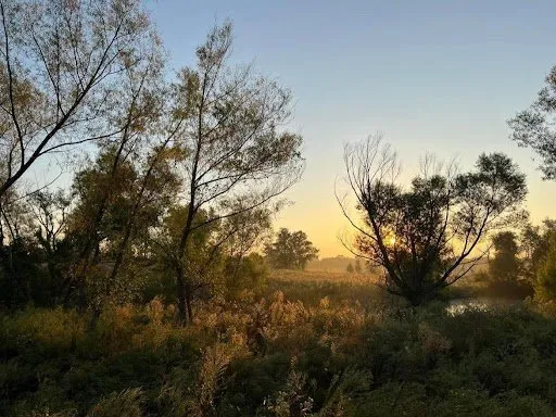 Professional yard maintenance for beautiful yards across Okmulgee, OK - Clevengers Land Management