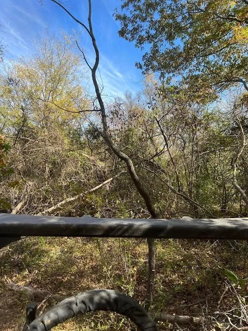 Professional landscape design experts serving Okmulgee, OK - Clevengers Land Management