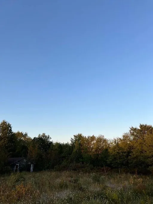 Reliable lawn mowing service for year-round maintenance in Okmulgee, OK by Clevengers Land Management