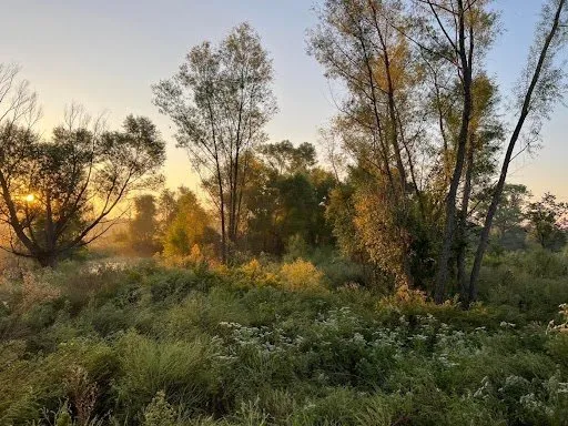 Top-rated residential landscaping experts serving Okmulgee, OK - Clevengers Land Management