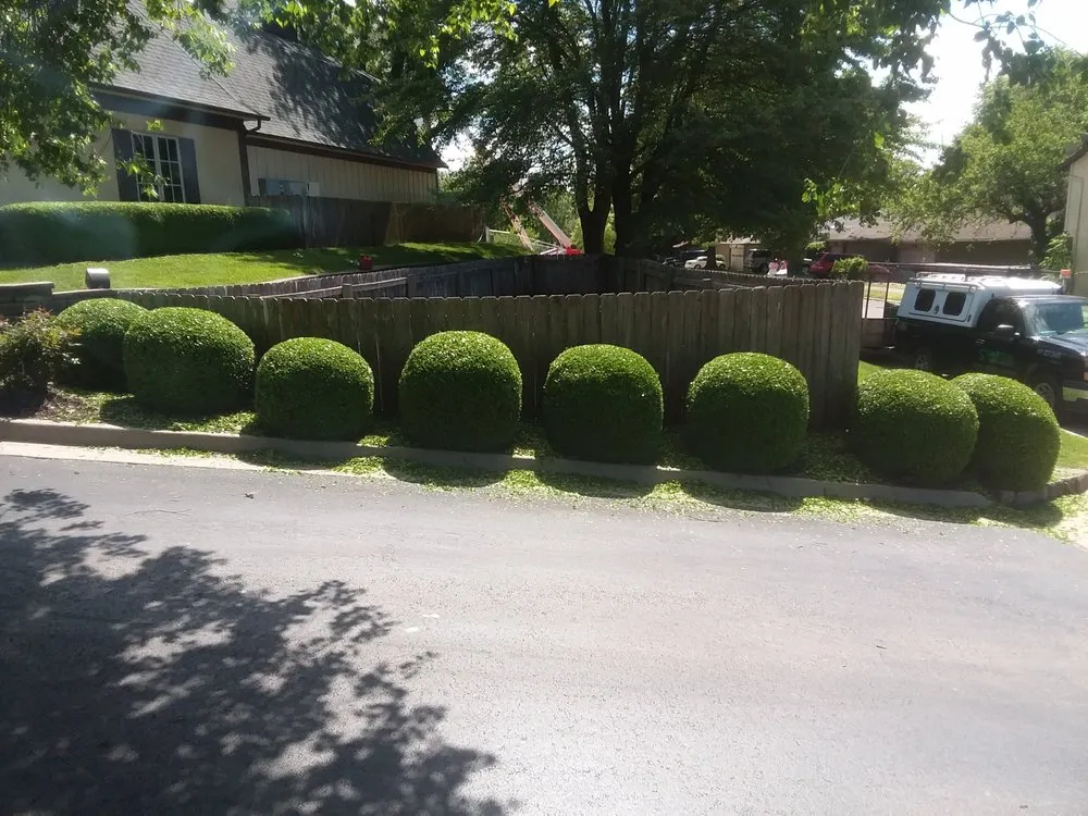 Expert yard maintenance with custom design in Nixa, MO by Clever Fox Creations