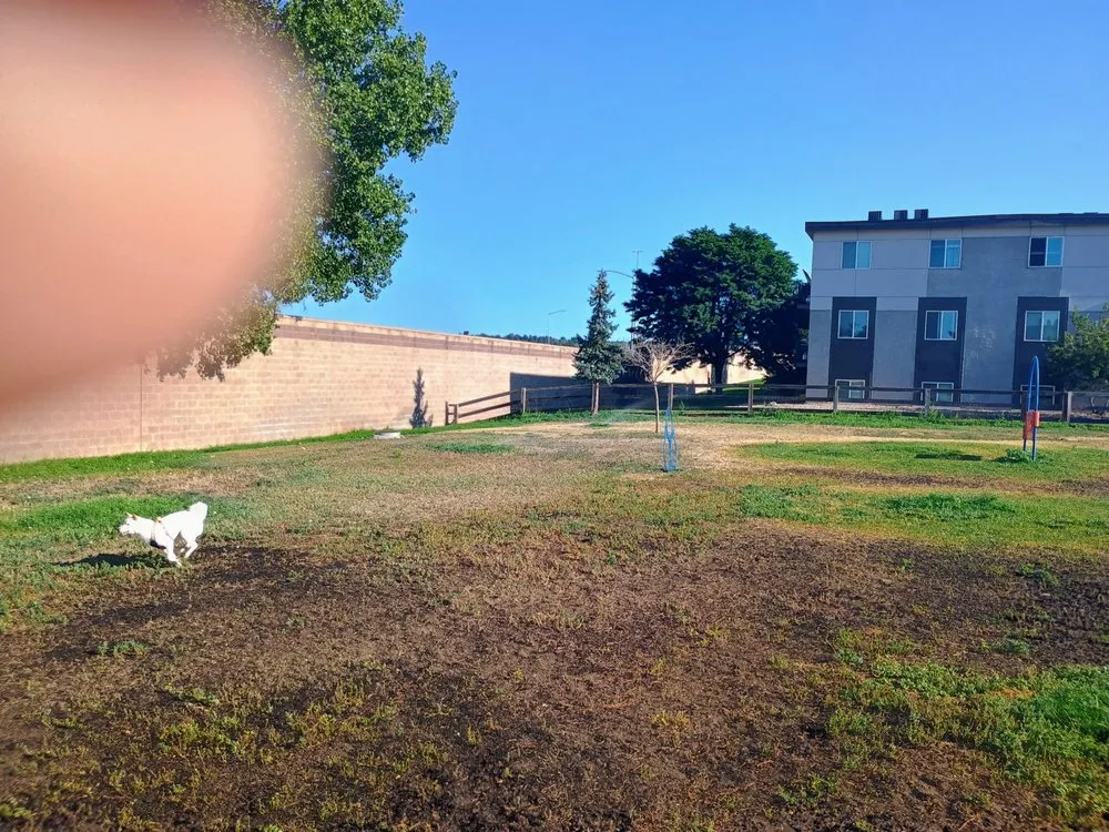 Custom garden landscaping near you in Denver, CO by Clever Landscaping