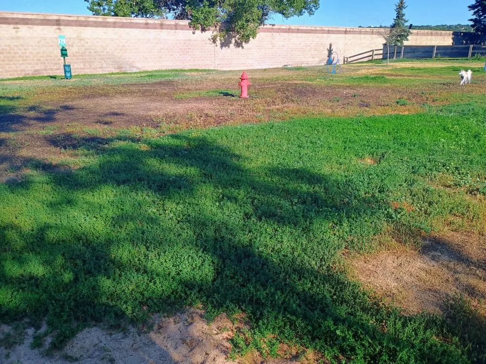 Expert landscape design experts serving Denver, CO - Clever Landscaping