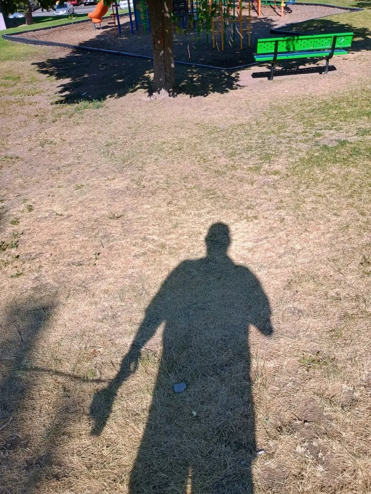 Affordable landscape design for outdoor upgrades in Denver, CO by Clever Landscaping