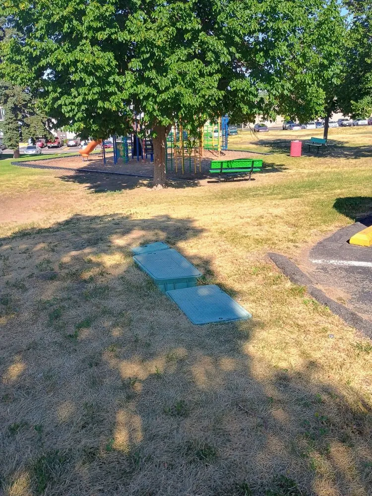 Expert yard cleanup service in Denver, CO - Clever Landscaping