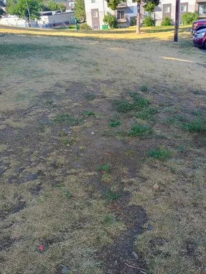 Clever Landscaping Logo