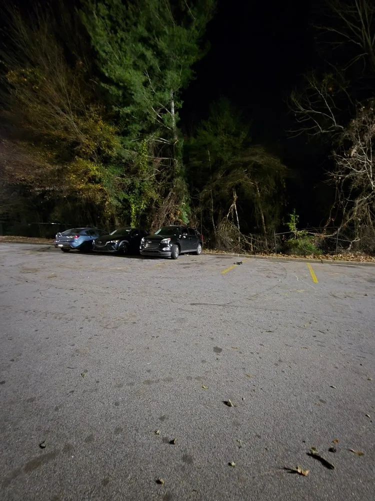 Reliable landscaping services for year-round maintenance in Auburn, GA by CLG Land Services