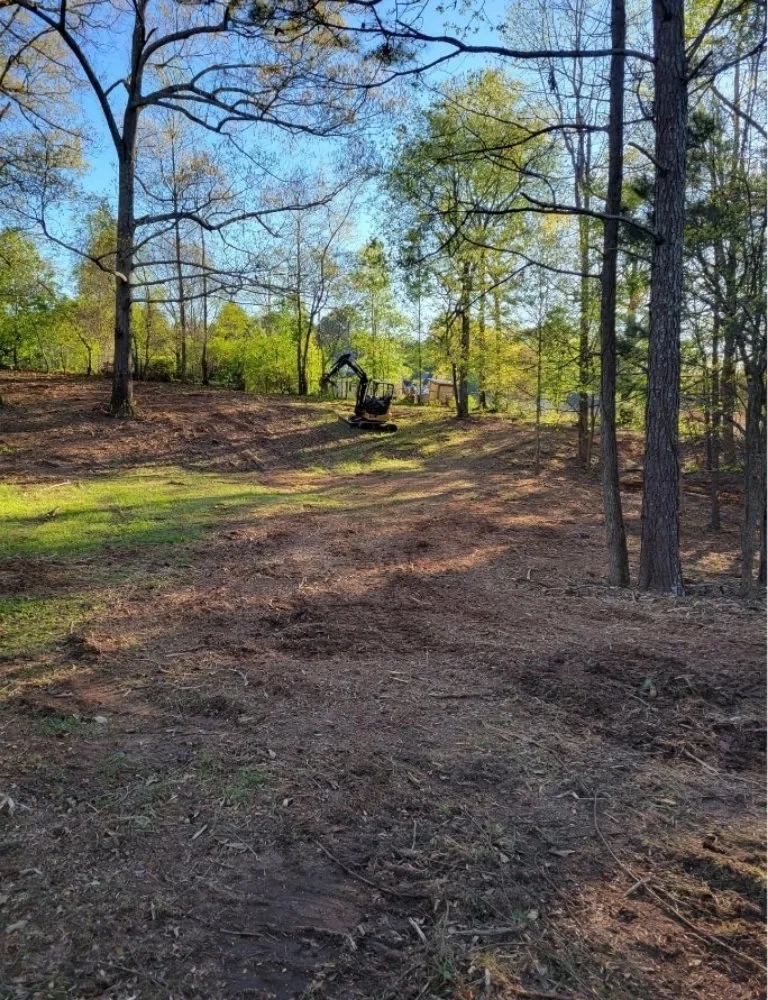 Professional lawn care service for homes across Auburn, GA - CLG Land Services