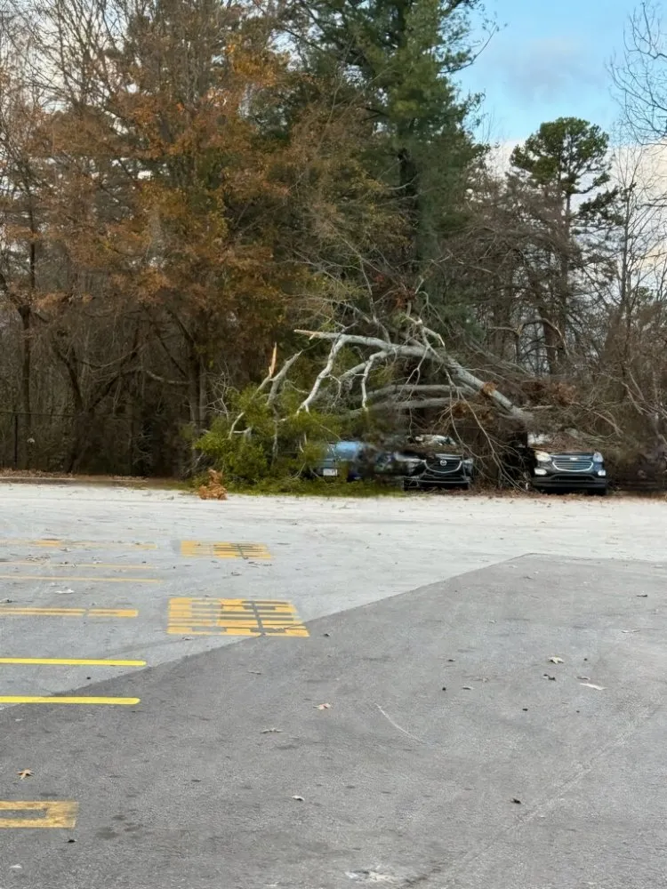 Top-rated outdoor landscaping experts serving Auburn, GA - CLG Land Services