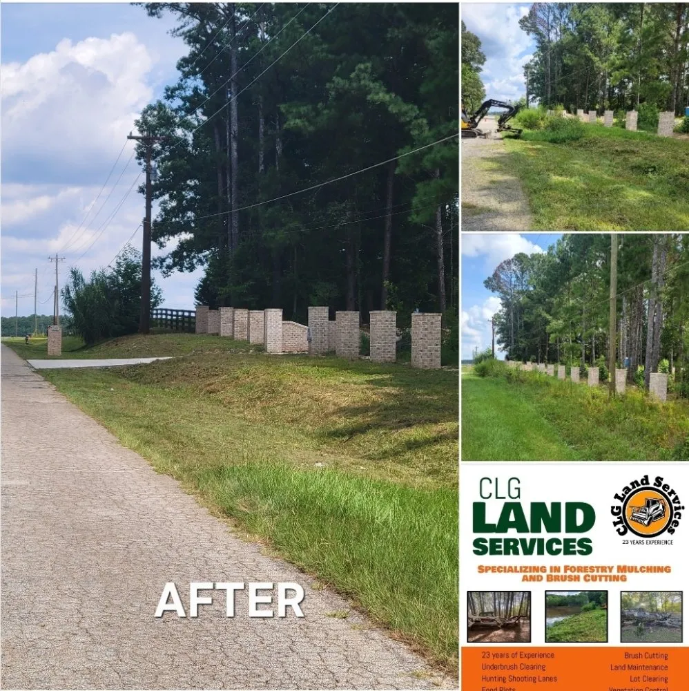 Top-rated lawn care service for beautiful yards in Auburn, GA by CLG Land Services