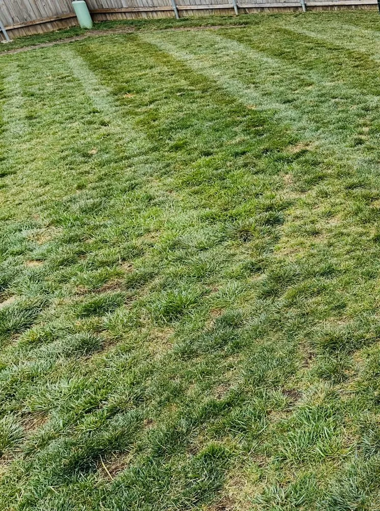 Local residential landscaping experts serving Odessa, MO - CLG Lawncare