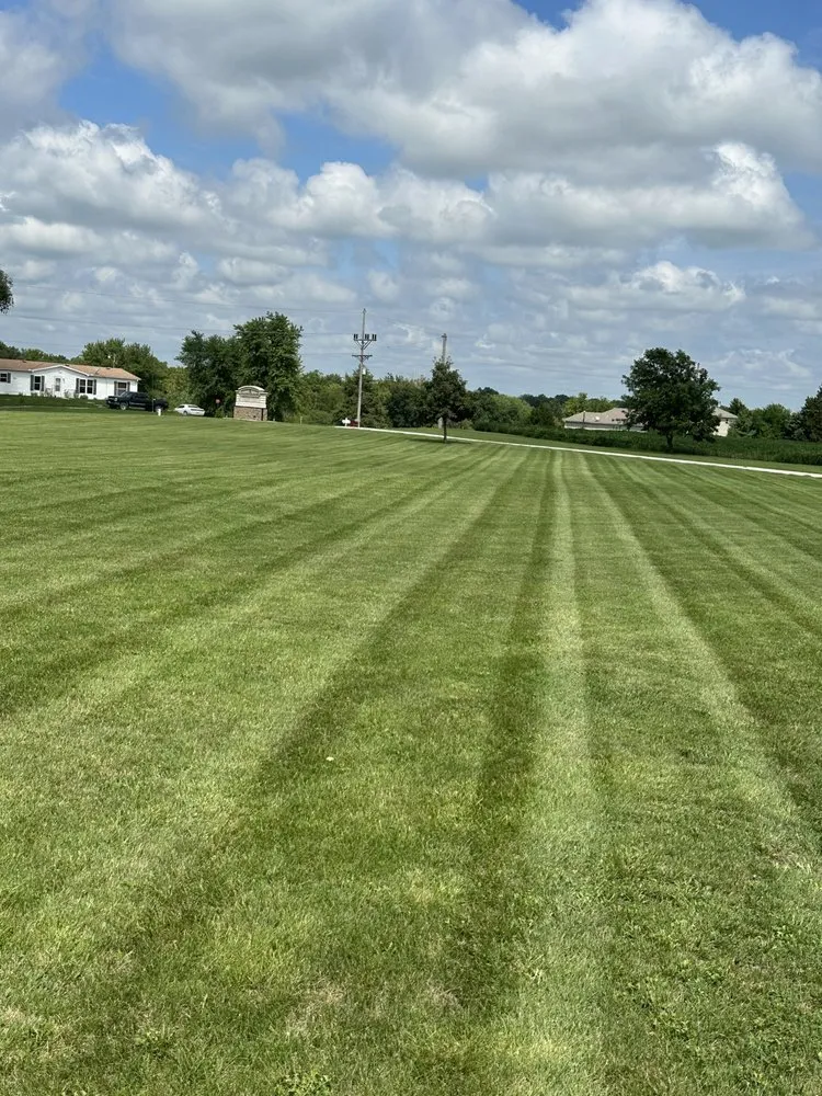 Top-rated landscape installation experts serving Odessa, MO - CLG Lawncare