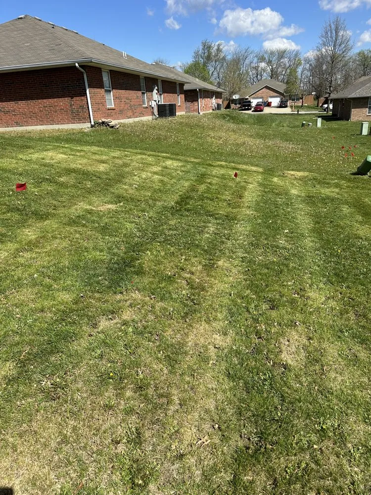 Top-rated landscaping services for residential properties across Odessa, MO - CLG Lawncare