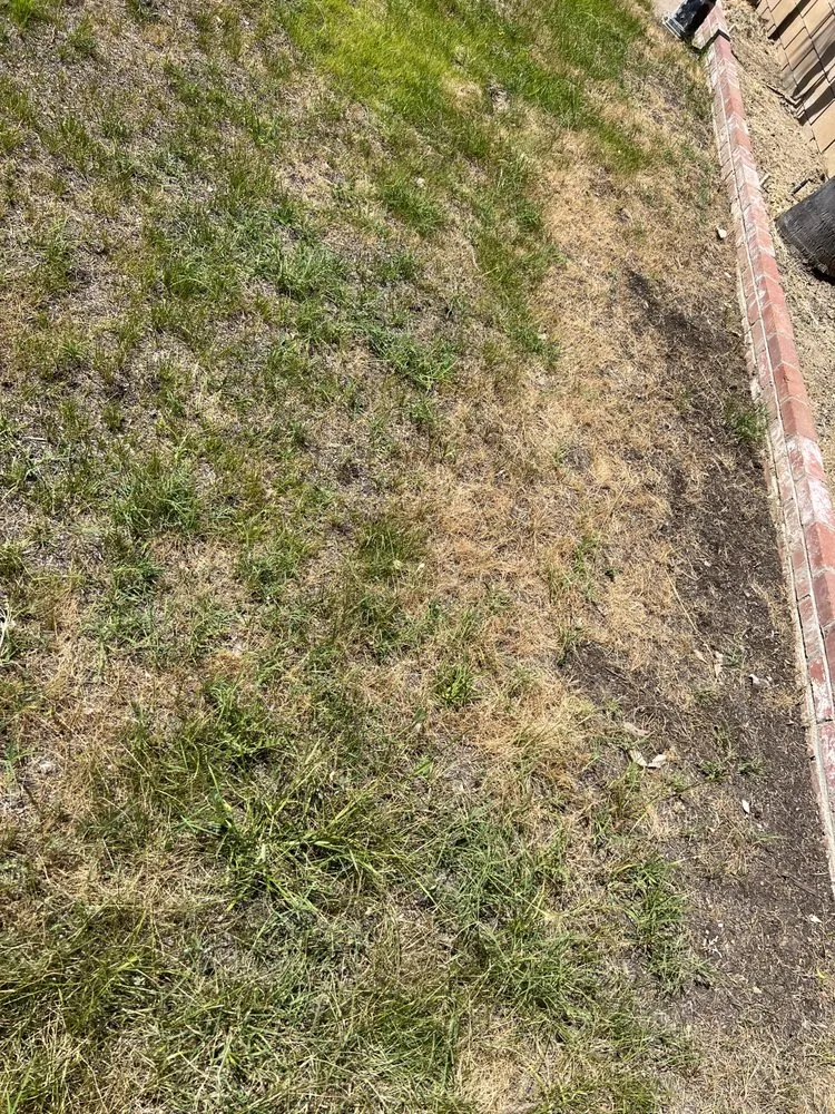 Expert landscape installation in Montclair, CA - CLI Carrillo Landscaping