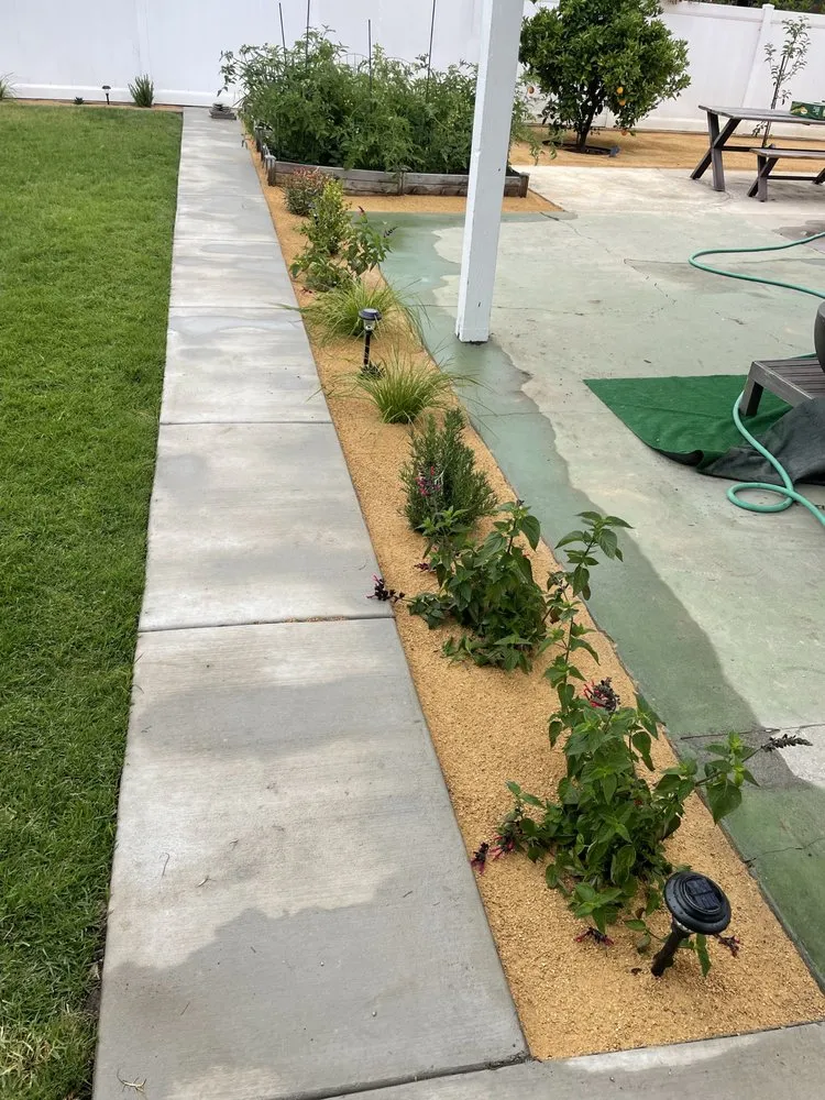 Local garden landscaping in Montclair, CA - CLI Carrillo Landscaping