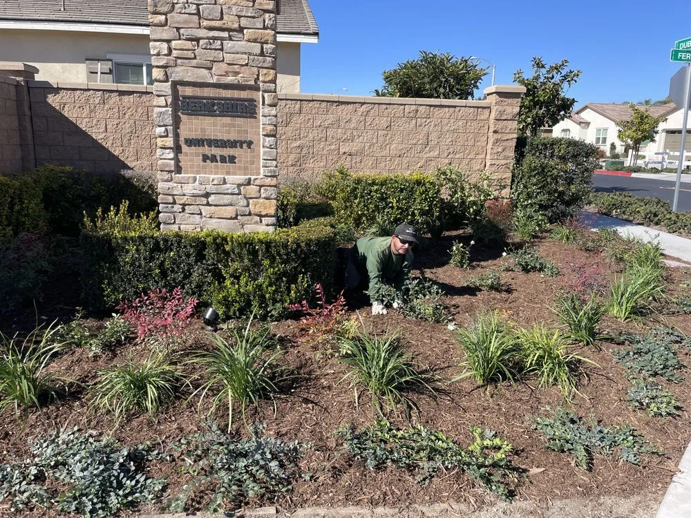 Affordable residential landscaping near you in Montclair, CA by CLI Carrillo Landscaping