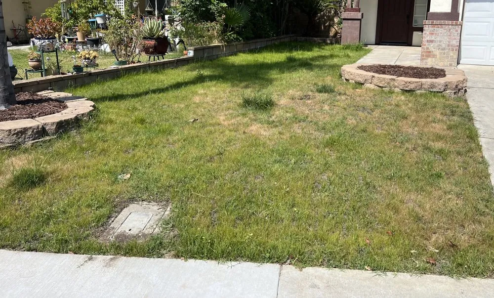 Professional landscaping services for homes in Montclair, CA by CLI Carrillo Landscaping