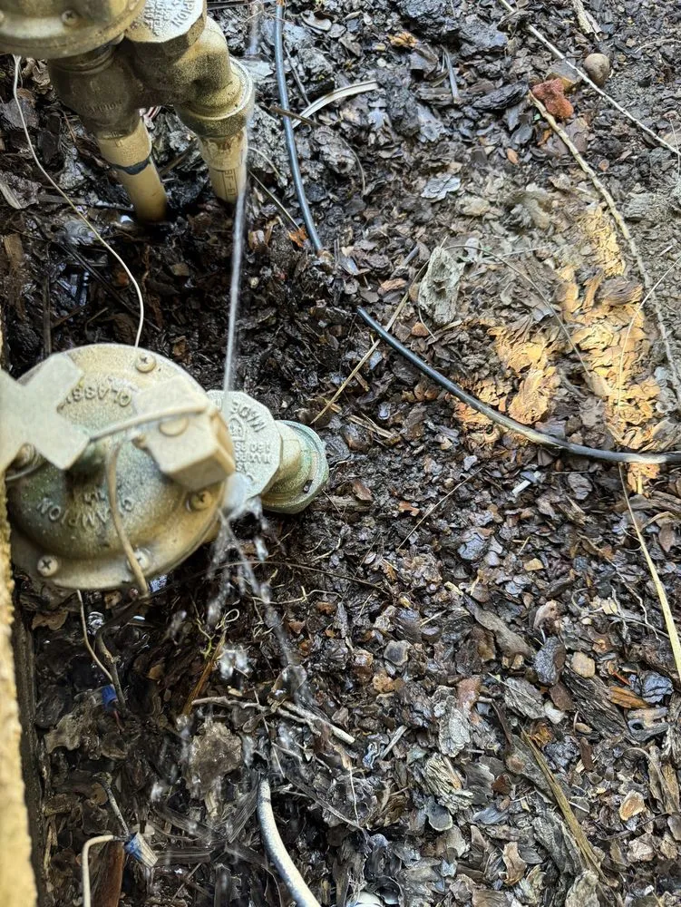 Professional garden landscaping in Montclair, CA by CLI Carrillo Landscaping