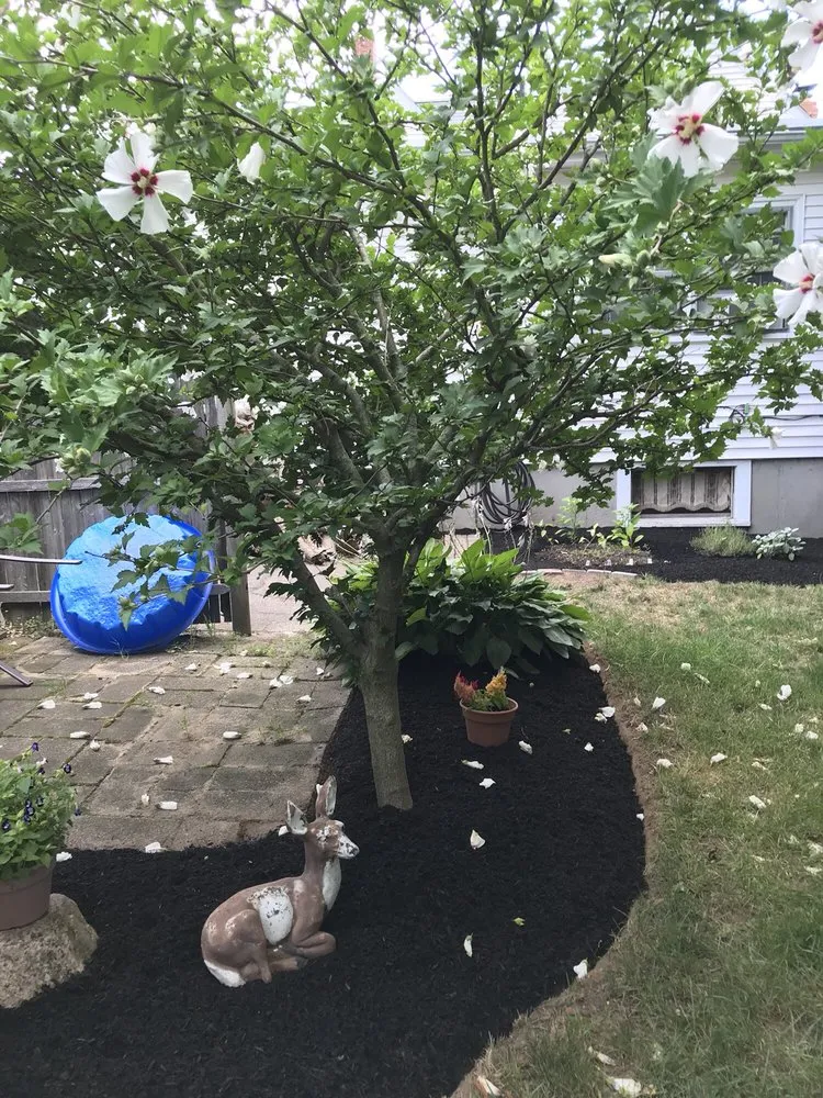 Local residential landscaping in Foxborough, MA - Click Landscape