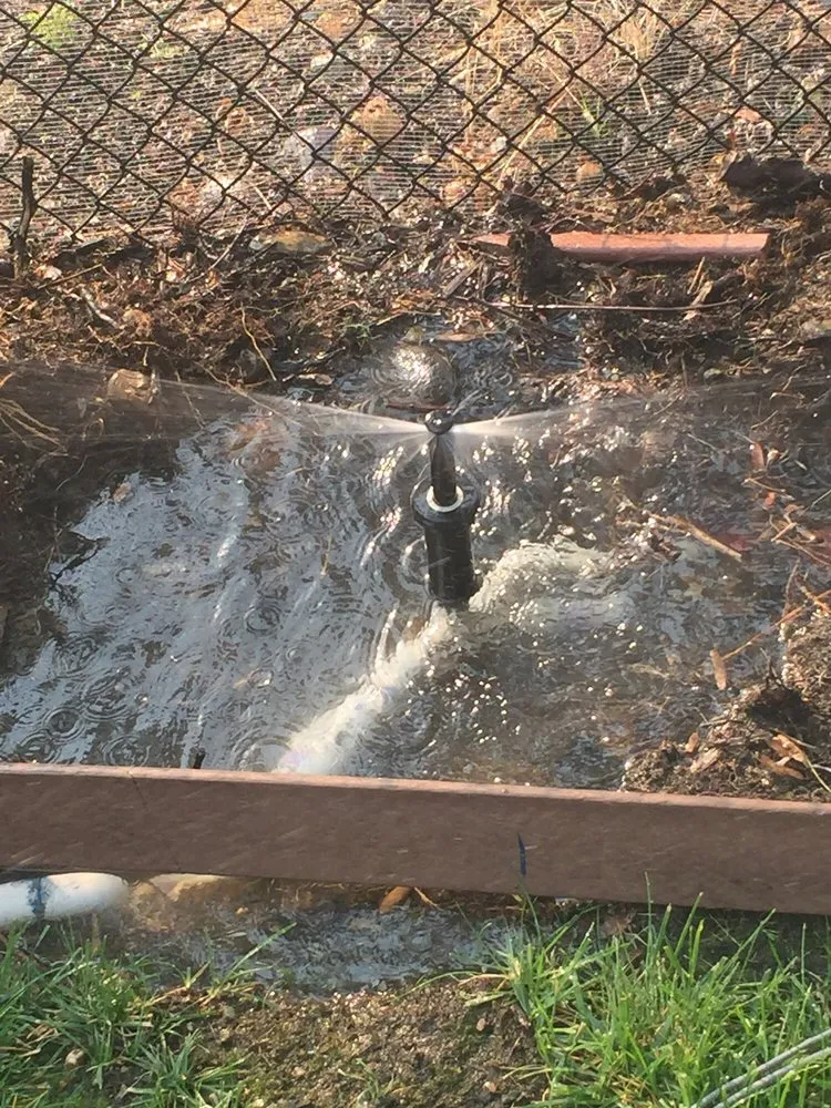 Local landscape installation experts serving Redding, CA - Clifford Landscape