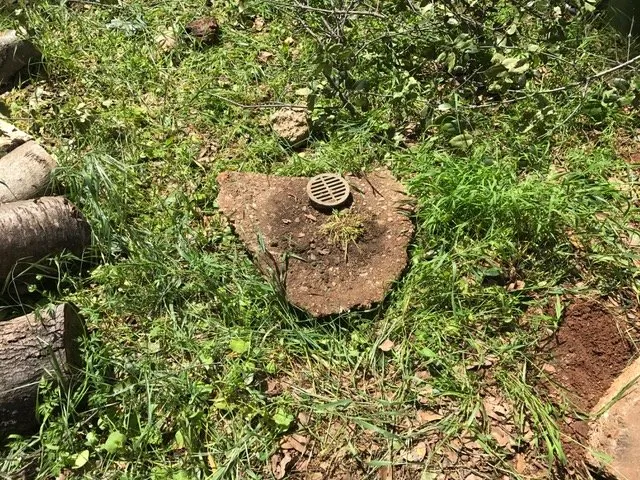 Top-rated yard maintenance in Redding, CA by Clifford Landscape