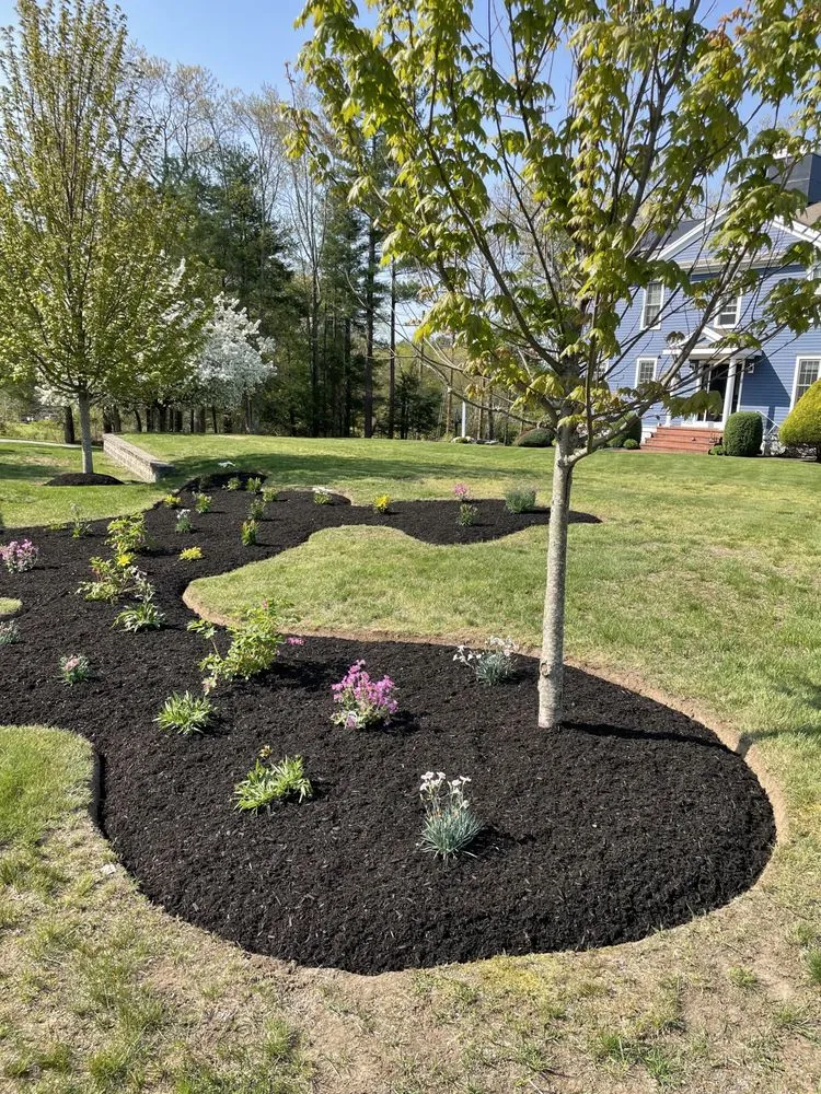 Custom yard maintenance near you across Randolph, MA - Clifford’s Landscaping