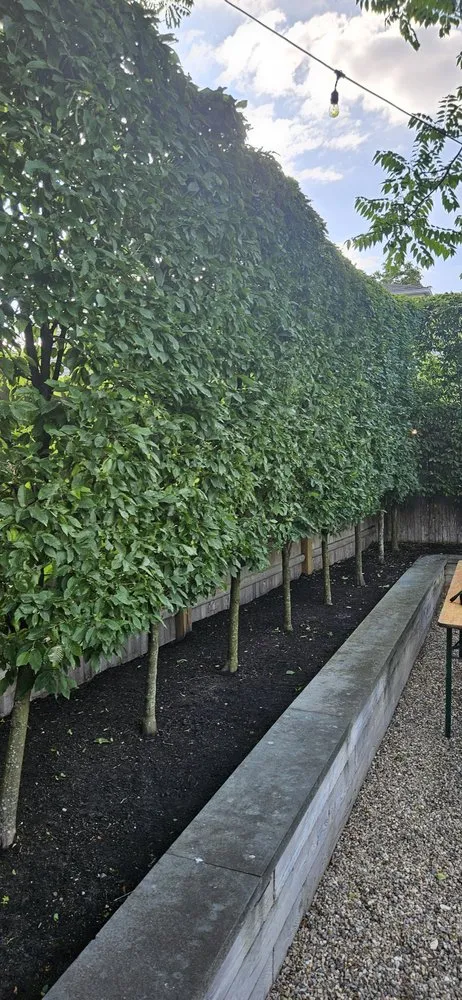 Local lawn mowing service in Truro, MA by Cliff's Landscaping