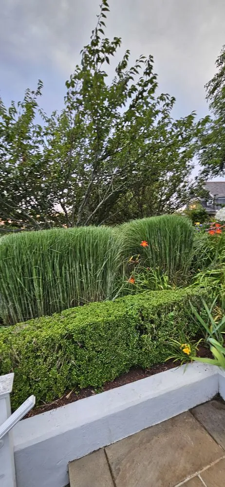 Professional outdoor landscaping in Truro, MA - Cliff's Landscaping