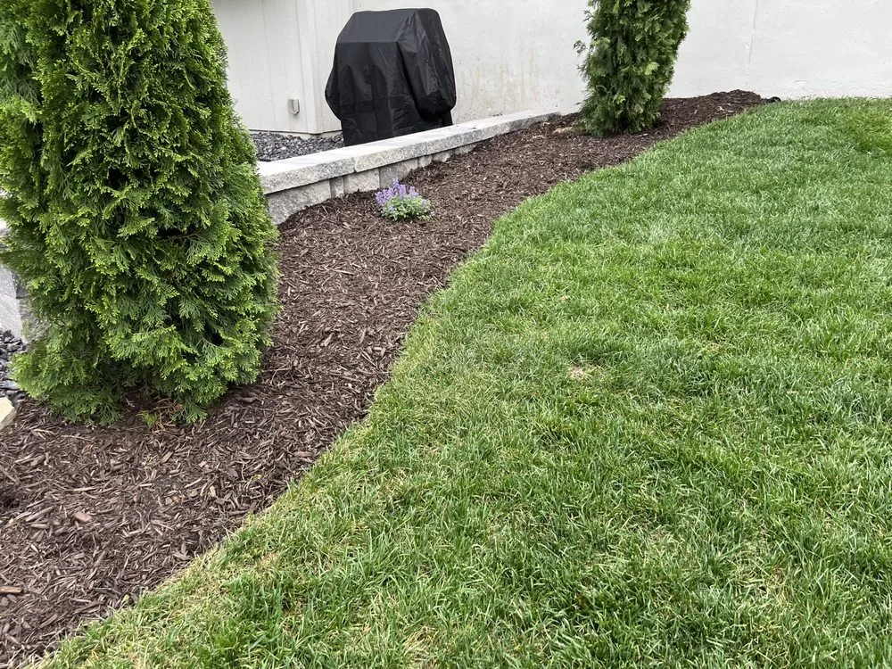 Trusted yard cleanup service with custom design across Spring Hill, KS - Cliffy Care Landscaping