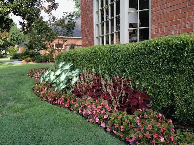 Trusted yard maintenance in Jenks, OK - Clifton Company