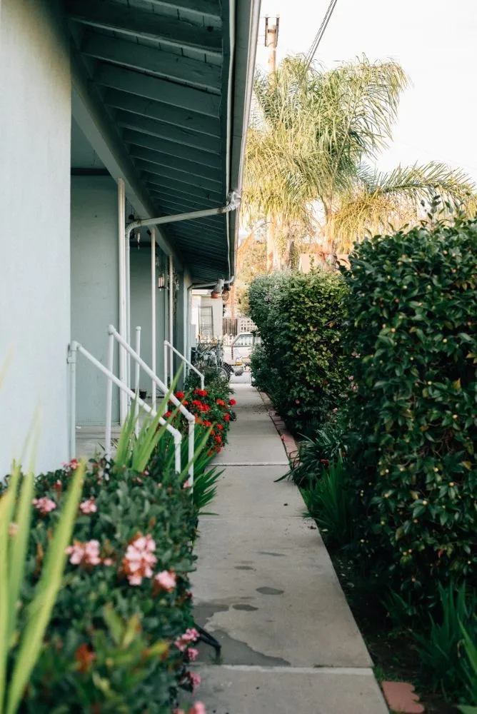 Trusted yard cleanup service with custom design across Winston-Salem, NC - Clifton Landscaping & Design