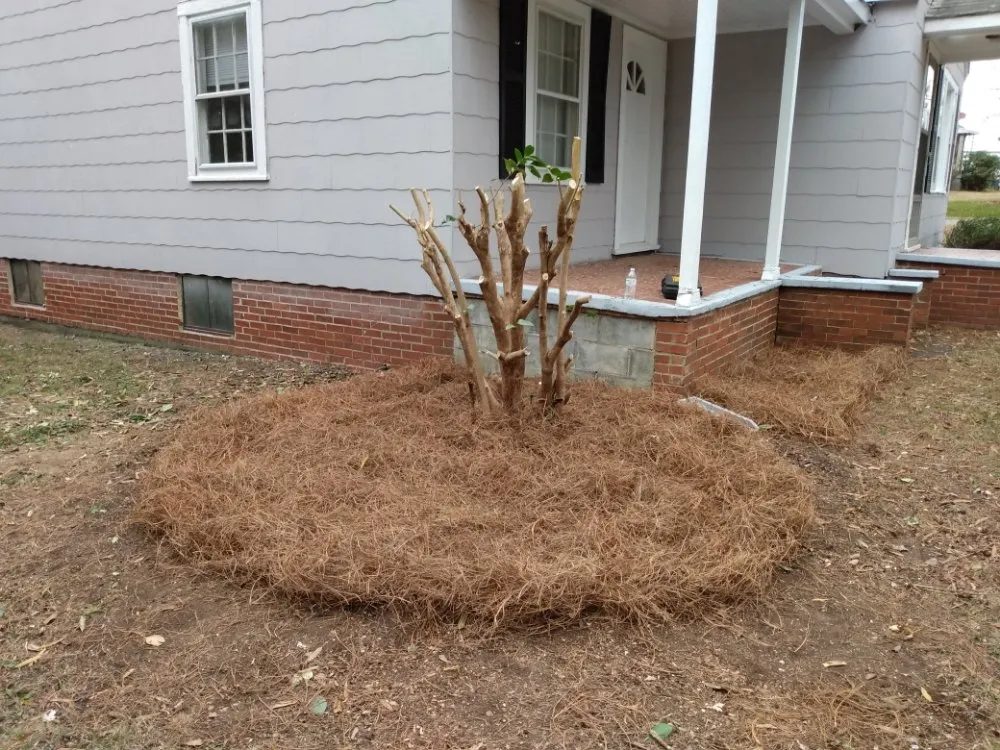 Local yard maintenance in Winston-Salem, NC - Clifton Landscaping & Design
