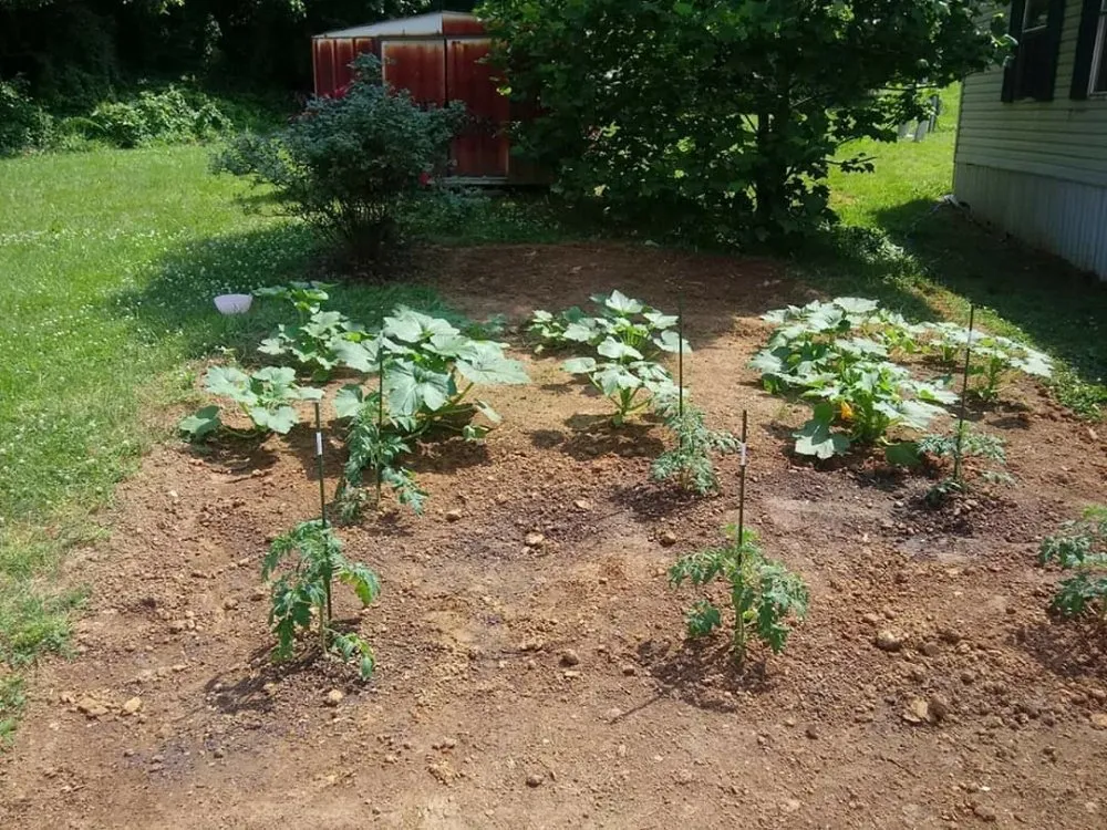 Professional landscape installation in Winston-Salem, NC by Clifton Landscaping & Design