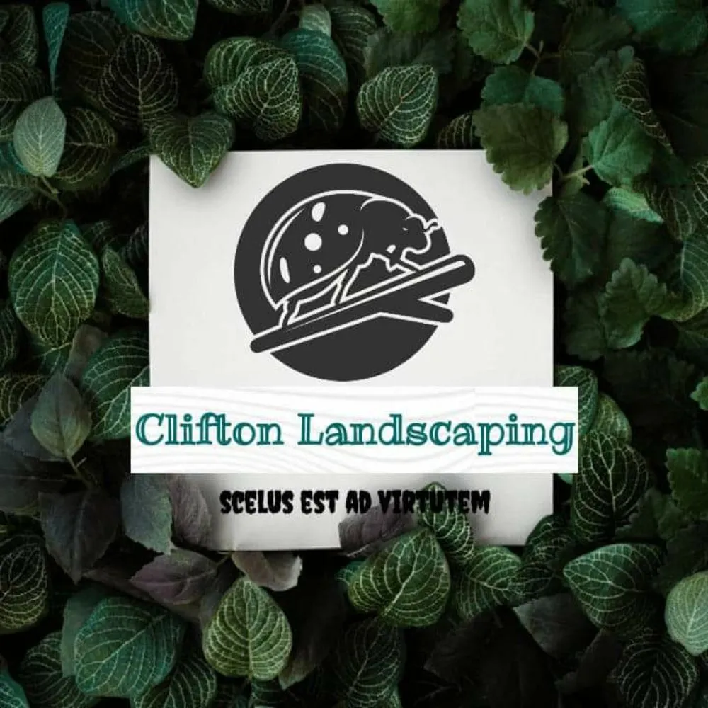 Affordable outdoor landscaping in Winston-Salem, NC - Clifton Landscaping & Design