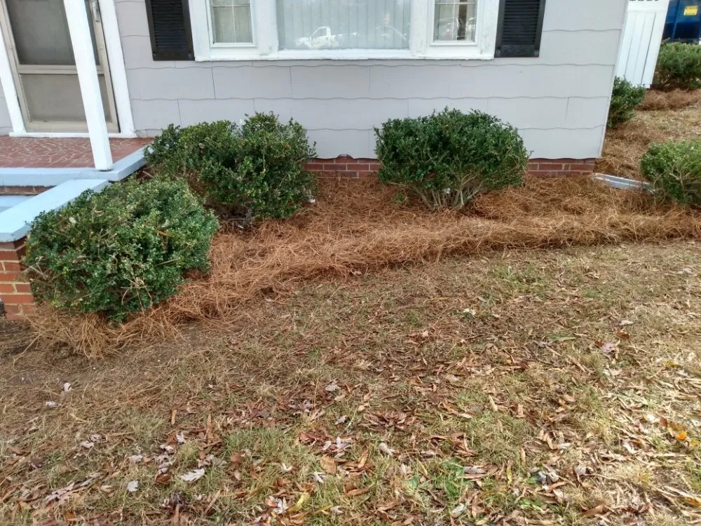Affordable lawn mowing service in Winston-Salem, NC - Clifton Landscaping & Design
