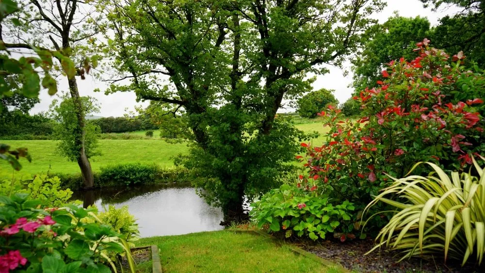 Professional garden landscaping near you in Winston-Salem, NC by Clifton Landscaping & Design